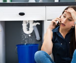 About Emergency plumbing pros Trenton, FL